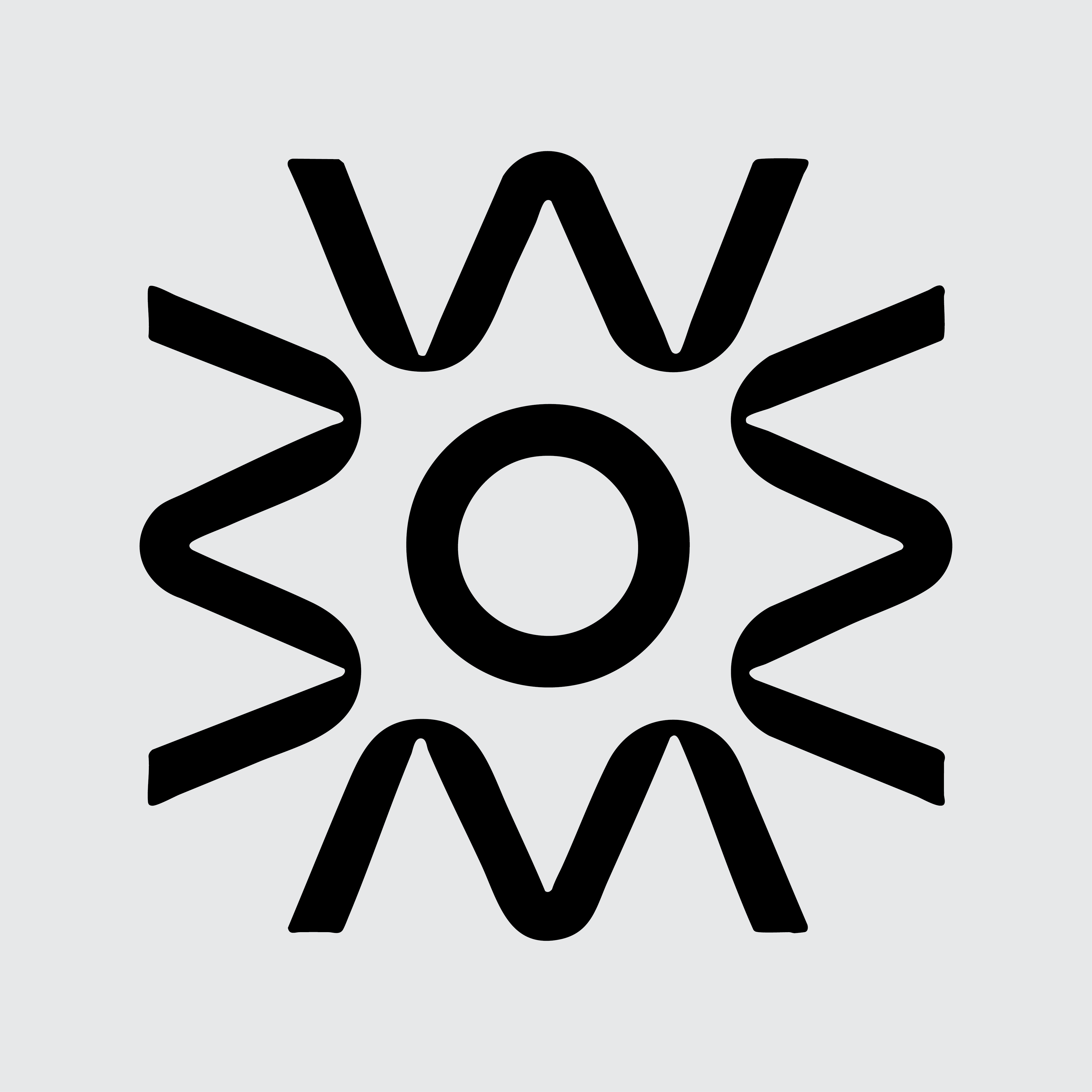 Pioex Logo